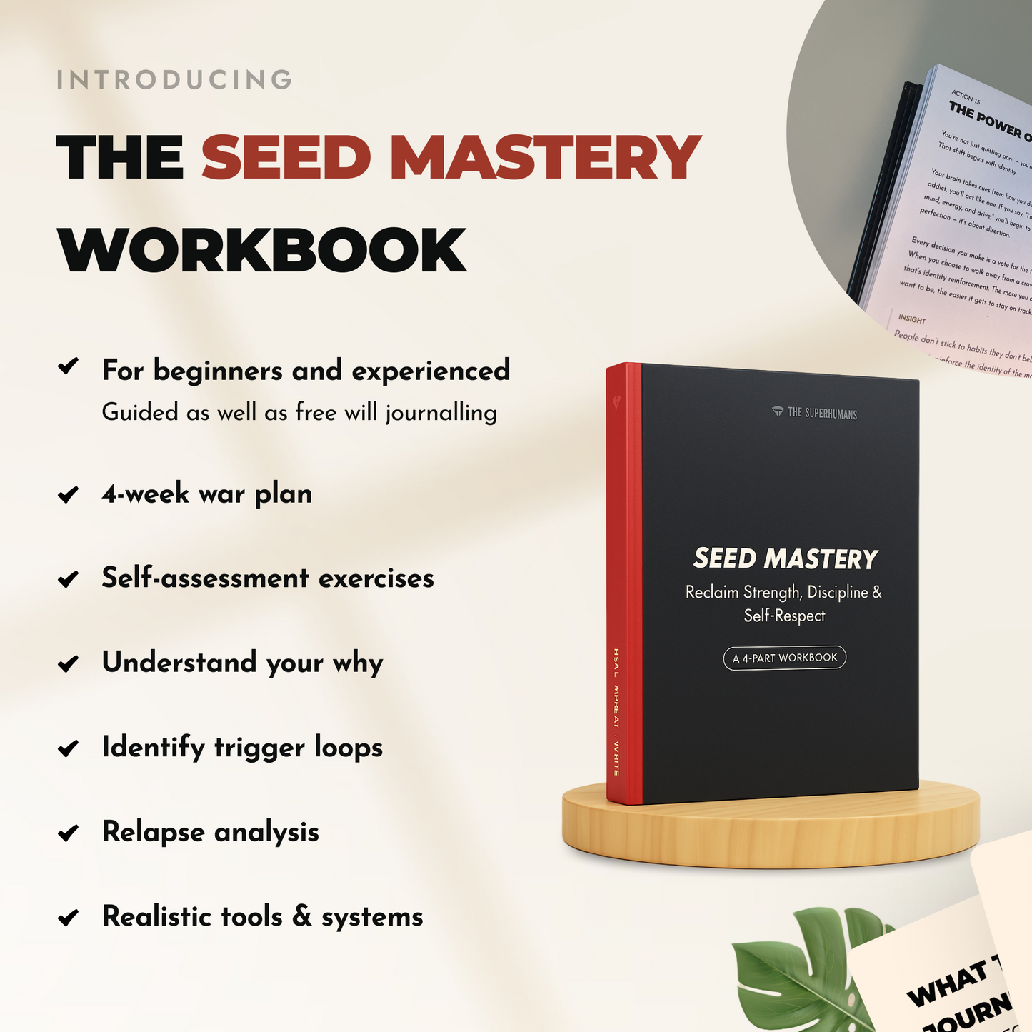The Seed Mastery War-Kit