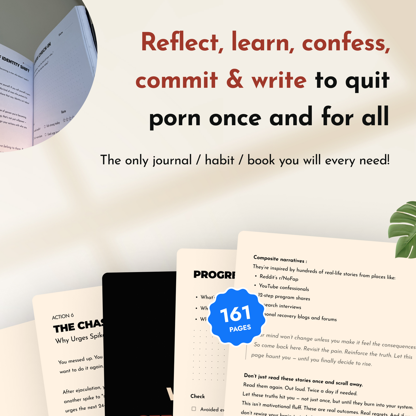 The Seed Mastery War-Kit