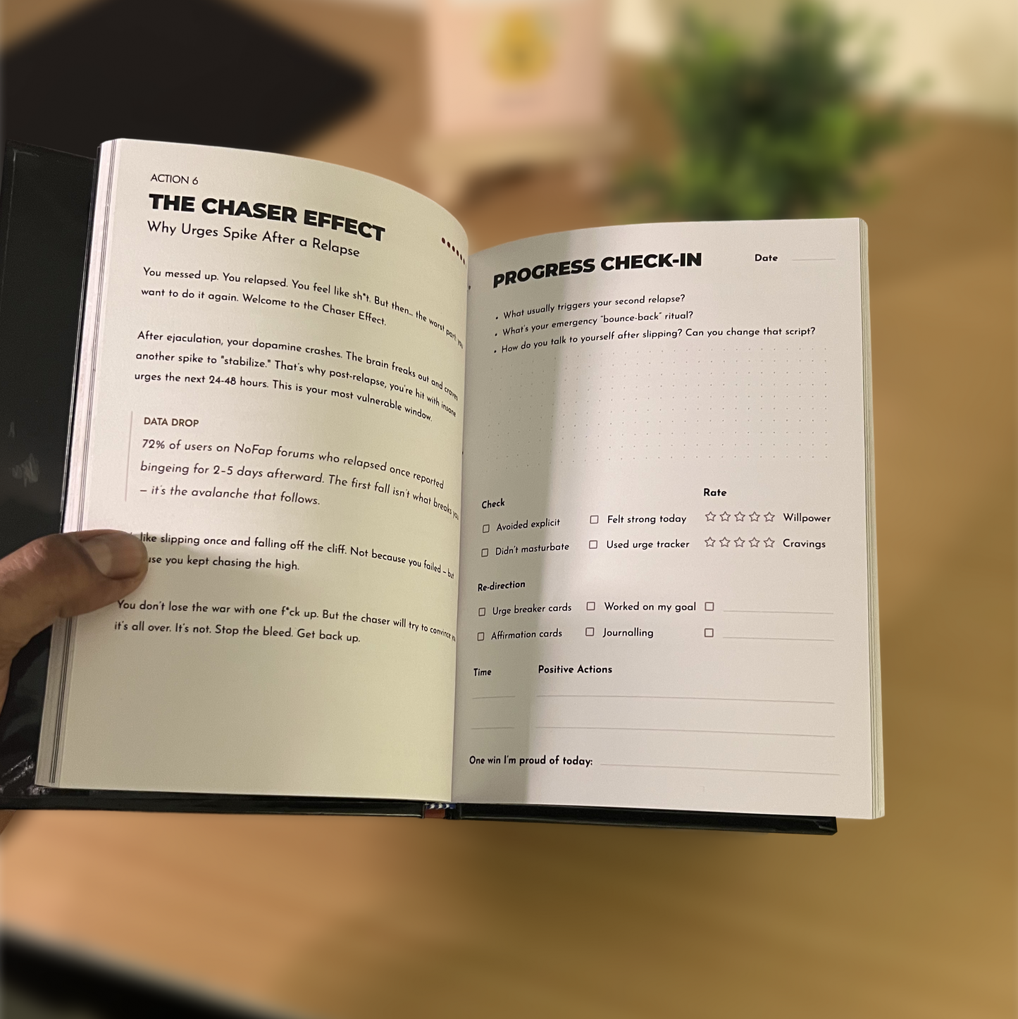 The Seed Mastery Workbook